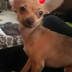 Profile Picture of Cinnamonbon Hayes (@cinnamonbon.hayes) on Facebook