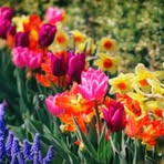 Profile Picture of Peter Brian (@Peter-Brian) on Facebook