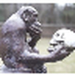 Profile Picture of matunos (@matunos) on Flickr
