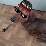 Profile Picture of Kevin 🇨🇺🐯 (@kevin_el_taiger_) on Instagram