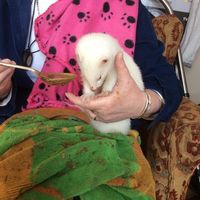 Profile Picture of Deborah Heath (@deborah-heath-32) on Quora