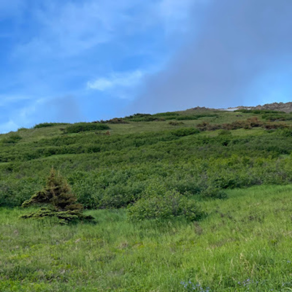 Profile Picture of Mohamed Abdel aziz (@mohamedabdel194) on Poshmark