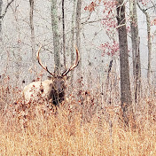 Profile Picture of Keith Kaiser (@fastattacktm) on Youtube