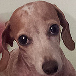 Kiana Love - Flickr Profile Picture of Kiana Love (@kianalove) on Flickr