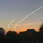 Profile Picture of Dan (@dandaveymarin) on Instagram