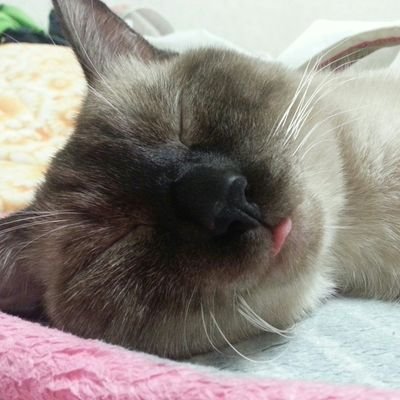 Profile Picture of 새벽 (@sae_byeog_kim) on Twitter