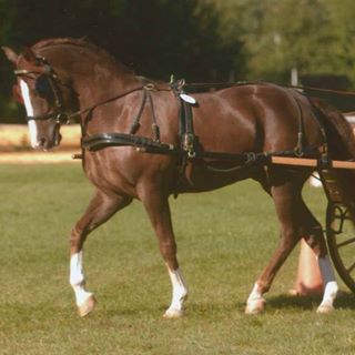 Profile Picture of Louise Calderwood (@louise.calderwood.73) on Facebook