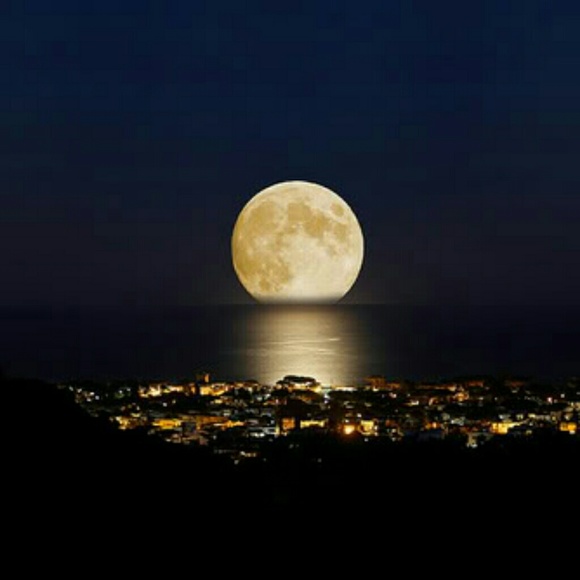 Profile Picture of Reinard Pollmann (@reinardp3) on Poshmark