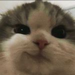 Profile Picture of Peter (@ningkhan_shimrah) on Instagram
