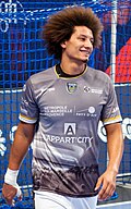 Profile Picture of Ali Zeinon Wikipedia