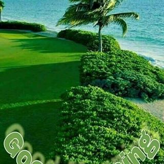 Profile Picture of Thomas Vida (@Thomas-Vida) on Facebook