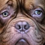 Profile Picture of Candy Storey (@candy.storey.3) on Facebook