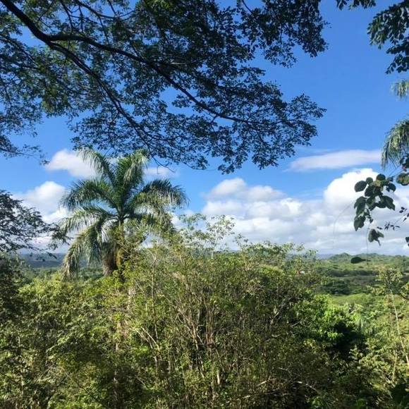 Profile Picture of Danielle Harman (@daniellemama) on Poshmark