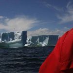 Profile Picture of Pete Barrett (@experiencelabrador) on Instagram