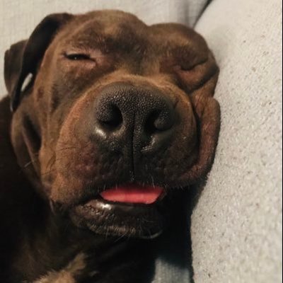 Profile Picture of Chandler Trent (@ChandlerTrent4) on Twitter