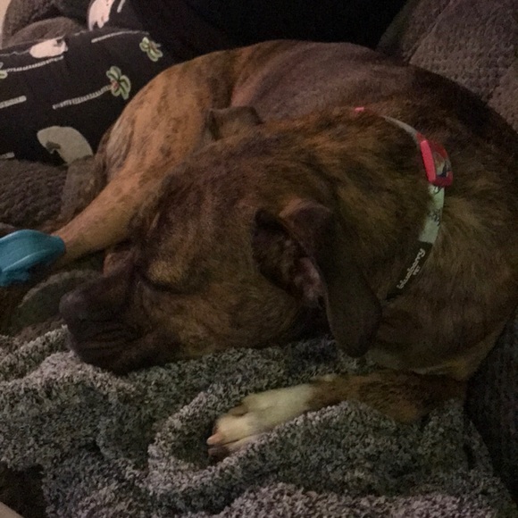 Profile Picture of Heather Graulich (@hsgraulich) on Poshmark