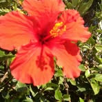 Profile Picture of Lisa Arvay (@lisa.arvay.9) on Facebook