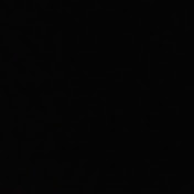 Profile Picture of Macie Campbell (@sunshine3mmm) on Youtube