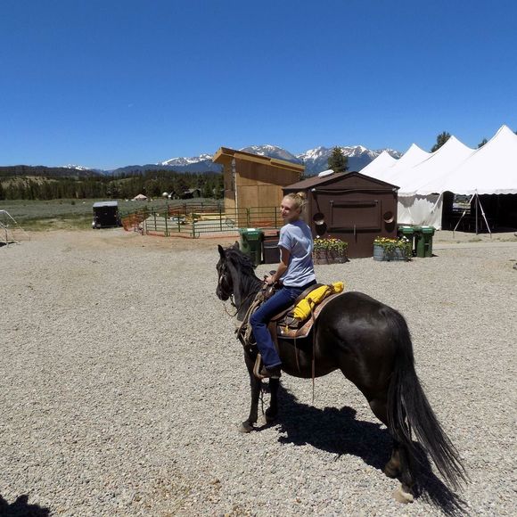 Profile Picture of Emily Tregler (@emilytregler) on Poshmark