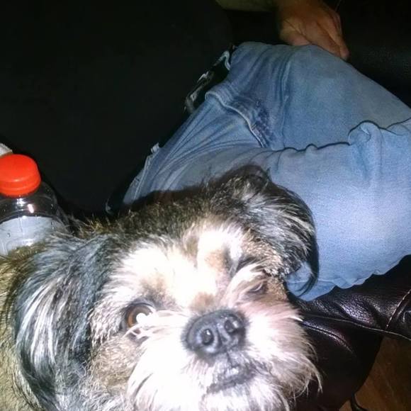 Profile Picture of Janet Penner (@cheapo2228) on Poshmark