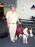Profile Picture of Guide horse - Wikipediaon Wikipedia
