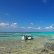 Profile Picture of Diego Barcelo (@diegobarcelo9780) on Youtube