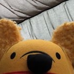 Profile Picture of Brad & Beca (@disney.munchies) on Instagram