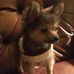 Profile Picture of Nancy Schindel (@nancy.schindel.35) on Facebook