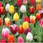 Profile Picture of Susanne Richardson (@room117) on Pinterest