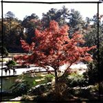 Profile Picture of Mike Gulley (@mikegulley_duke) on Instagram