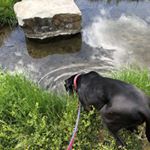 Profile Picture of Paul Baumgaertel (@paul_baumgartel_01) on Instagram