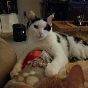 Profile Picture of Dawn Barber (@DawnBar70135361) on Twitter