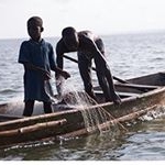 Profile Picture of Megan, Luke, Ryan, Julian (@stopthefisheries) on Instagram