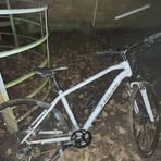 Profile Picture of Aiden Mccaffery (@Aiden-Mccaffery) on Facebook