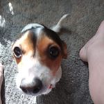 Profile Picture of Dale Vanderpool (@dale.vanderpool.92) on Instagram