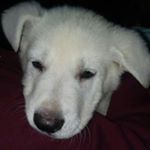 Profile Picture of Mr.Jacoby Jones (@mr.jacoby_jones) on Instagram