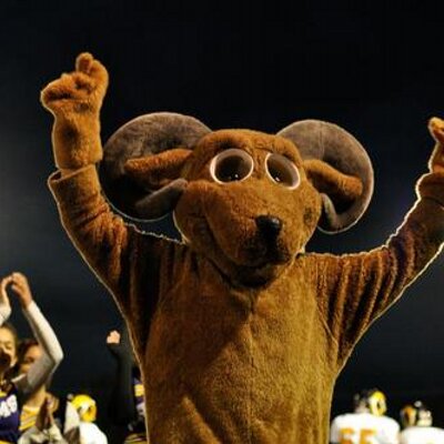 Profile Picture of Rambo (@MountDougRambo) on Twitter
