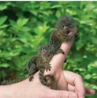 Profile Picture of S K S KD (@sk.skd.73) on Facebook