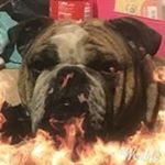 Profile Picture of Danny-jay Hackett (@hackettdannyjay) on Instagram