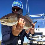 Profile Picture of MS Charter And Guide (@capt.alex.plowman) on Instagram
