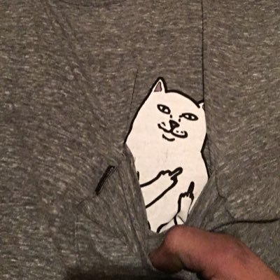 Profile Picture of Jed Meowdos (@JimMatt11010545) on Twitter