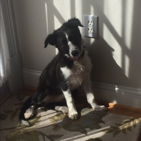 Profile Picture of Michelle Krips (@mich208a) on Poshmark