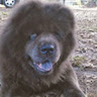 Profile Picture of Corene Martin (@corene-martin-3) on Quora