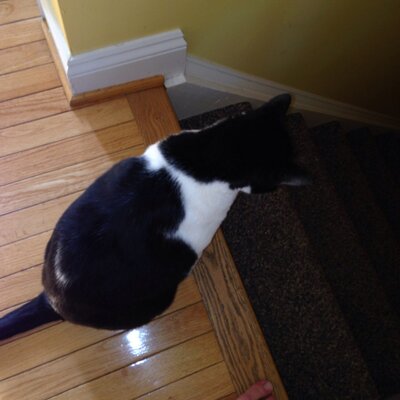 Profile Picture of Joe Dejong (@butterking12344) on Twitter