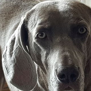 Profile Picture of Peter Sinton (@peter.sinton.5) on Facebook