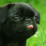 Profile Picture of thomas (@tkilroy1807) on Instagram