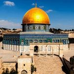 Profile Picture of Jihane Moukaddim (@m_jihane2) on Instagram