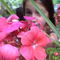 Profile Picture of Gabriella Walsh (@gabriella-walsh-8) on Quora
