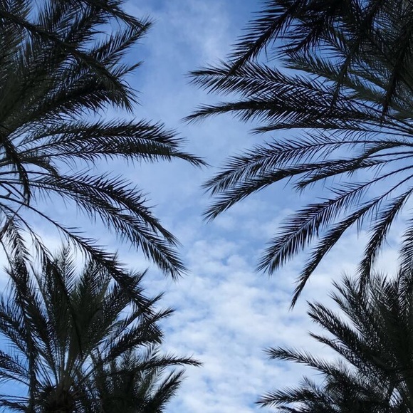 Profile Picture of Mika Tinstman (@mikatinstman) on Poshmark