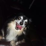 Profile Picture of Helen Struckmeyer (@helenstruckmeyer) on Instagram